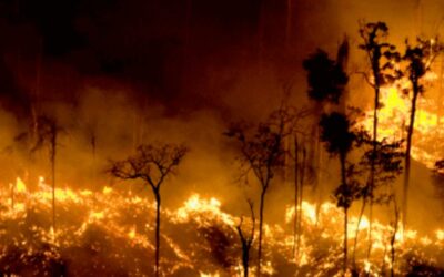 Anhembi: Justiça obriga Prefeitura a criar plano contra incêndios