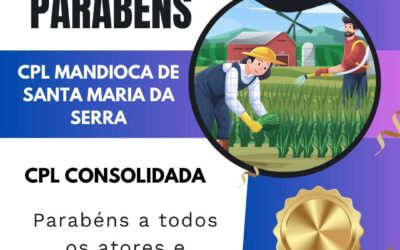 Santa Maria da Serra: Município ganha destaque e recebe reconhecimento estadual pela produção de mandioca