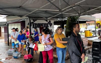 Santa Maria da Serra: Mutirão de Castração realiza 240 procedimentos