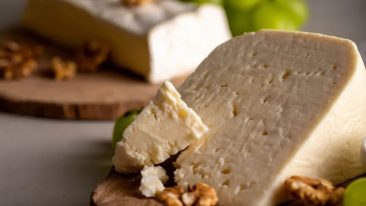 queijo-rota.jpg